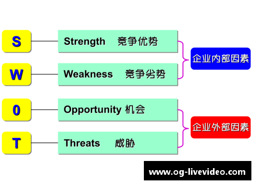 冰岛球员角色分析及职责概述