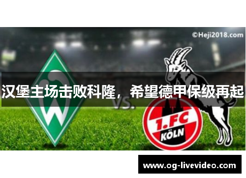 汉堡主场击败科隆，希望德甲保级再起