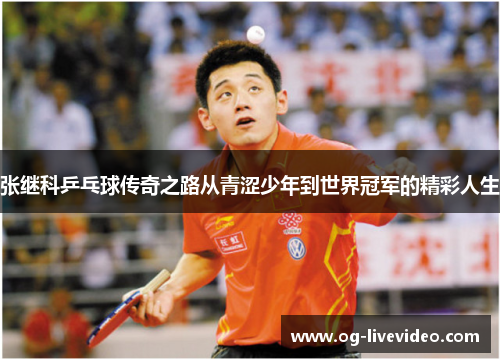 张继科乒乓球传奇之路从青涩少年到世界冠军的精彩人生
